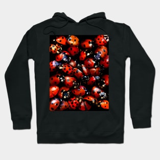 Ladybugs Hoodie